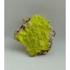 Autunite 2 - Portugal