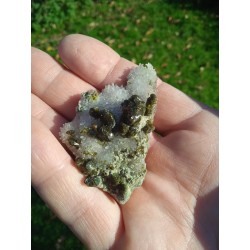 Epidote sur quartz - Maroc